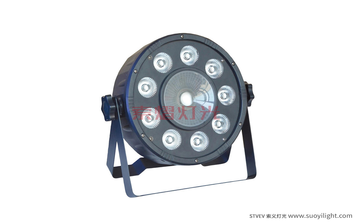 Australia9+1 LED Plastic Par Light