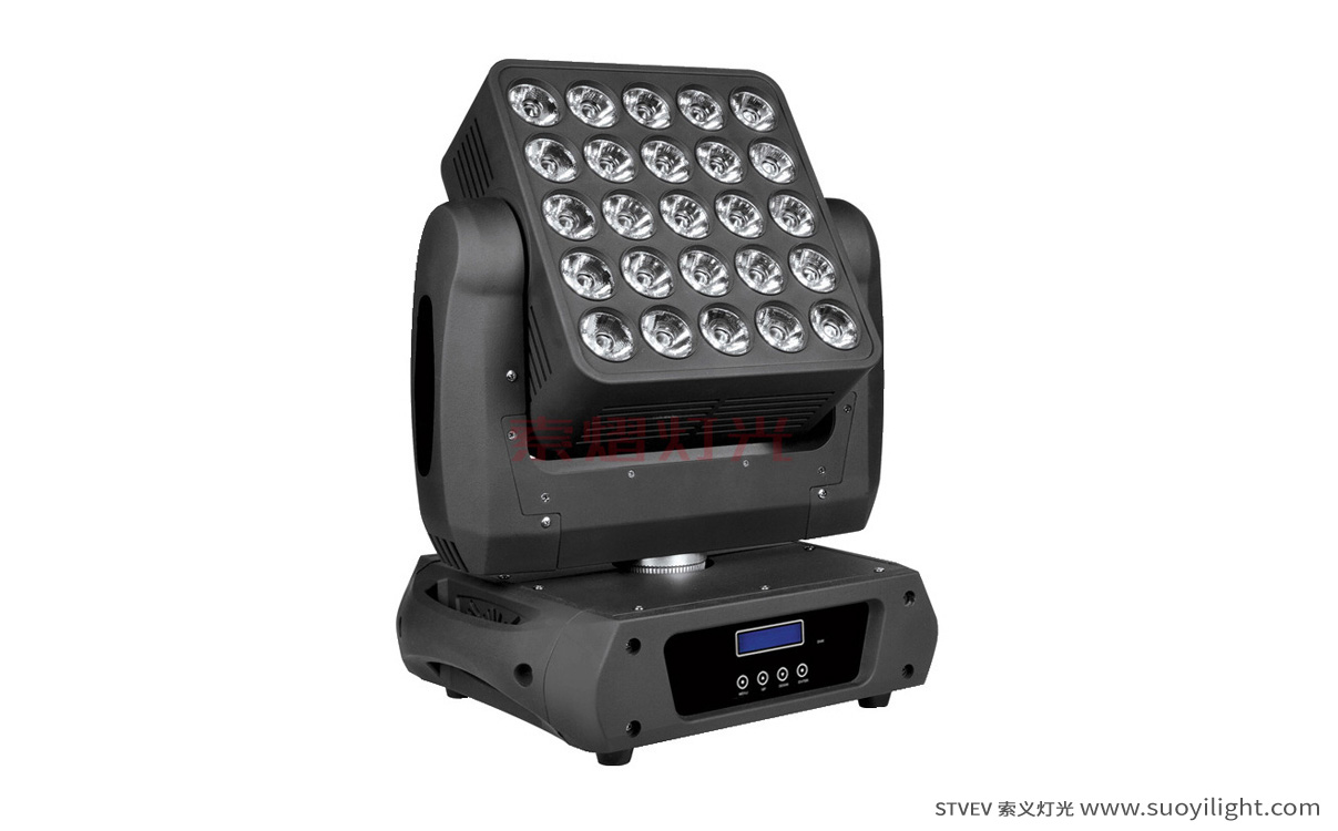 Australia25pcs Matrix LED Light production