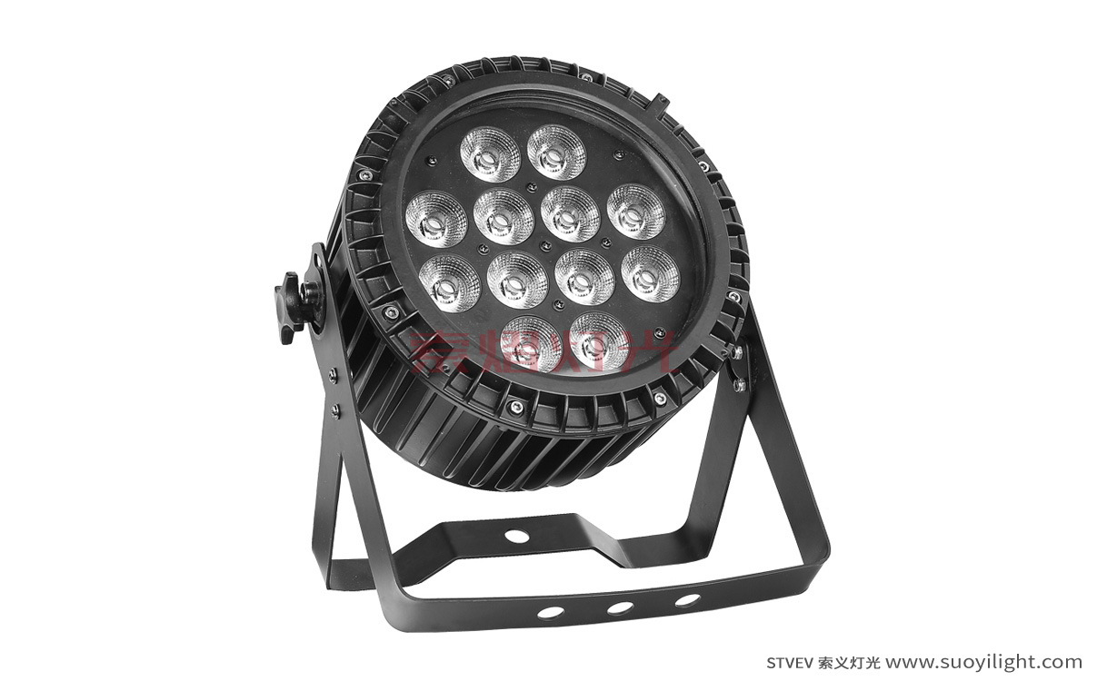 Australia12*12W 6 in 1 Waterproof LED Par Light wholesale