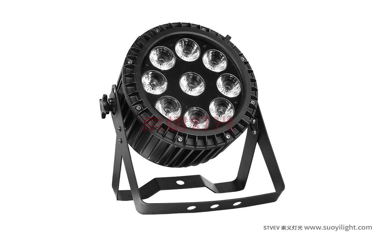 Australia9*12W 4 in 1 Waterproof LED Par Light supplier