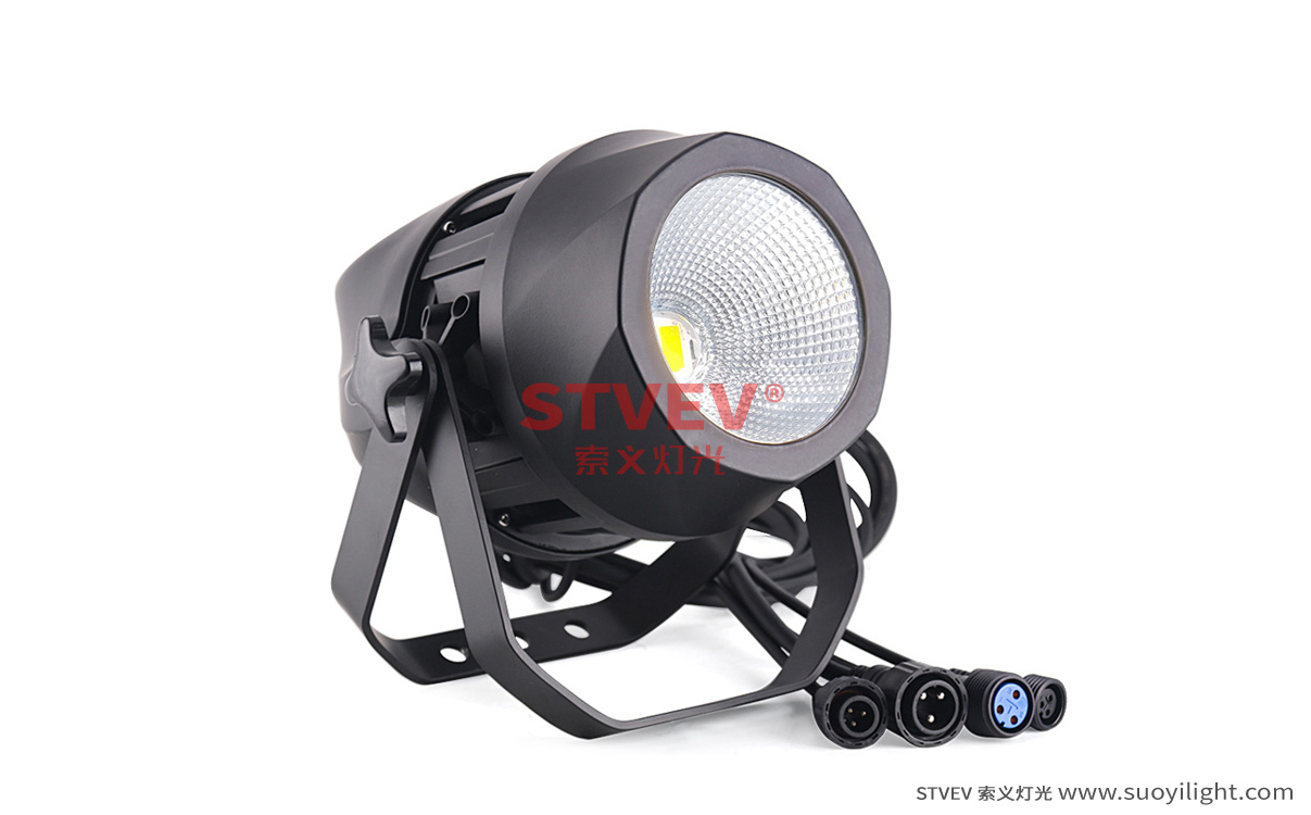 Australia200W Waterproof COB Par Light wholesale