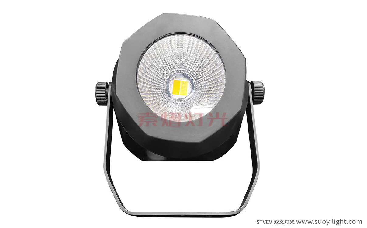 Australia200W Waterproof COB Par Light production